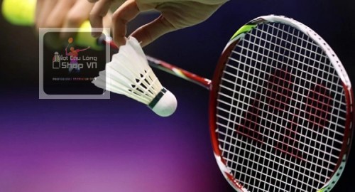 Top 5 vợt cầu lông căng 10kg được ưa chuộng trên thị trường 2023