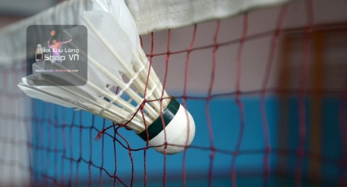 Loại cầu lông nào tốt nhất và được ưa dùng nhất trong năm 2024