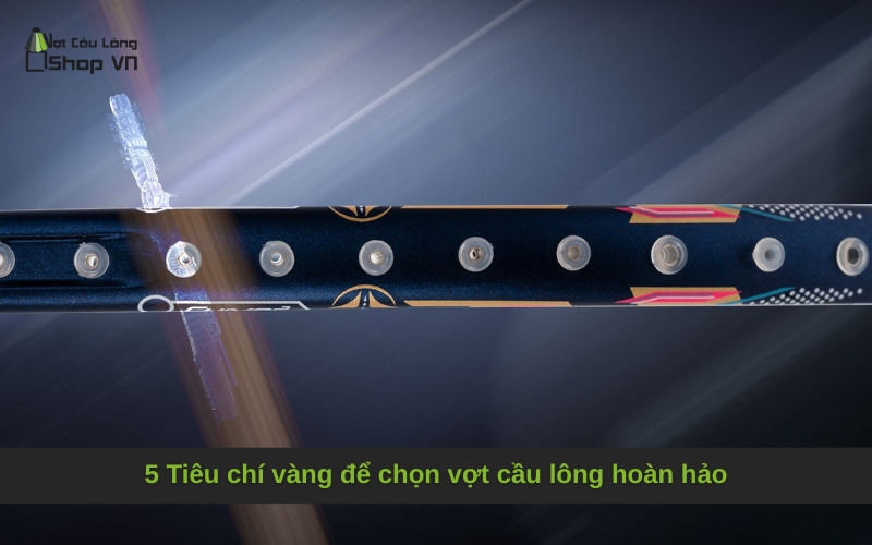 5 Tiêu chí vàng để chọn vợt cầu lông hoàn hảo