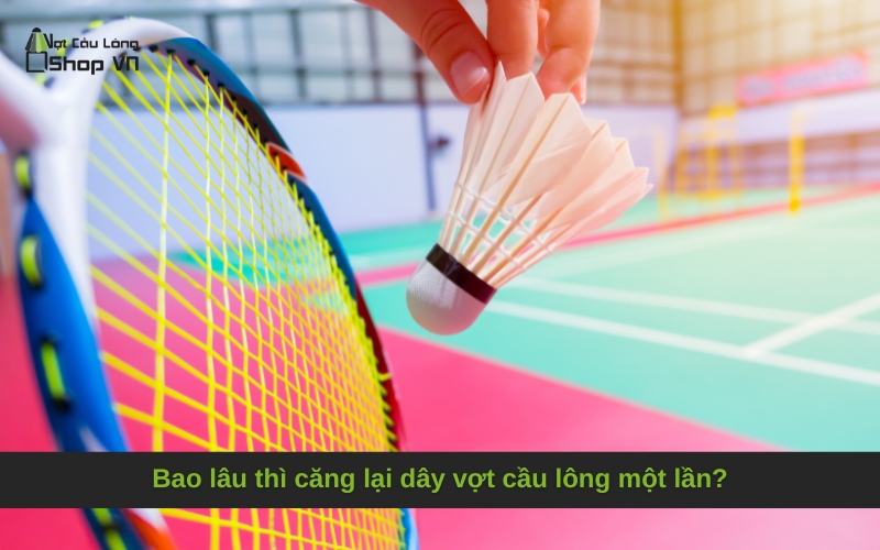 Bao lâu thì căng lại dây vợt cầu lông một lần?