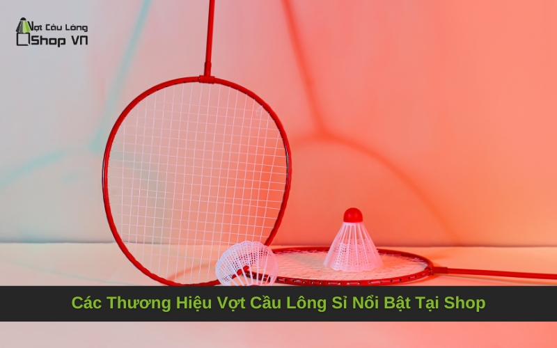 Các Thương Hiệu Vợt Cầu Lông Sỉ Nổi Bật Tại Shop