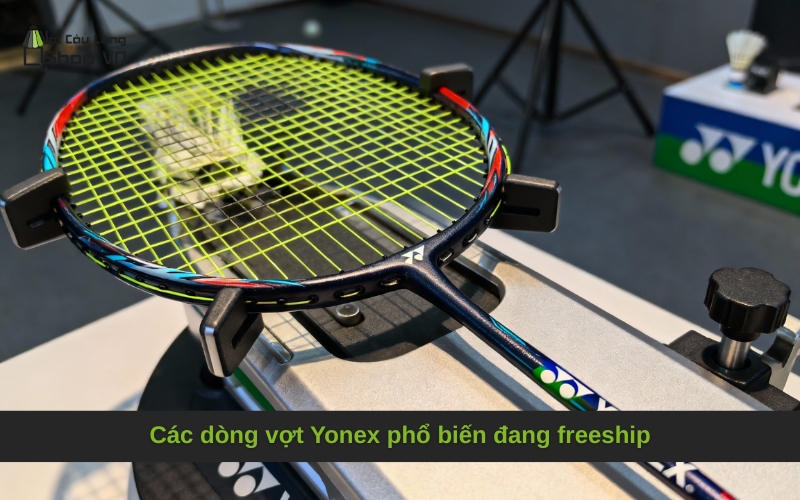 Các dòng vợt Yonex phổ biến đang freeship