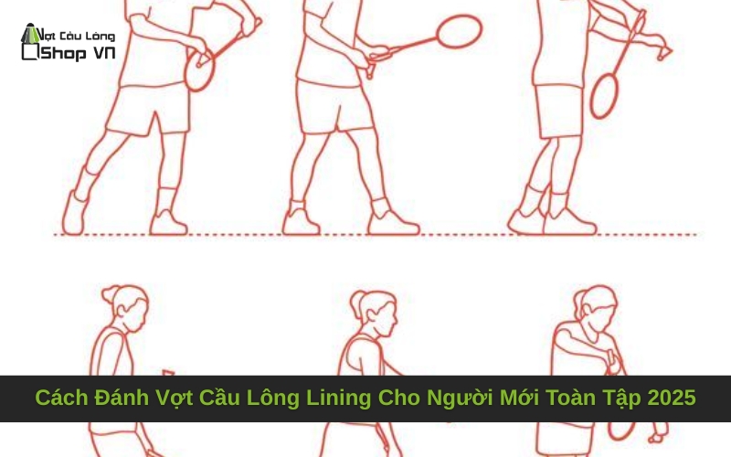 Cách Đánh Vợt Cầu Lông Lining Cho Người Mới Toàn Tập 2025