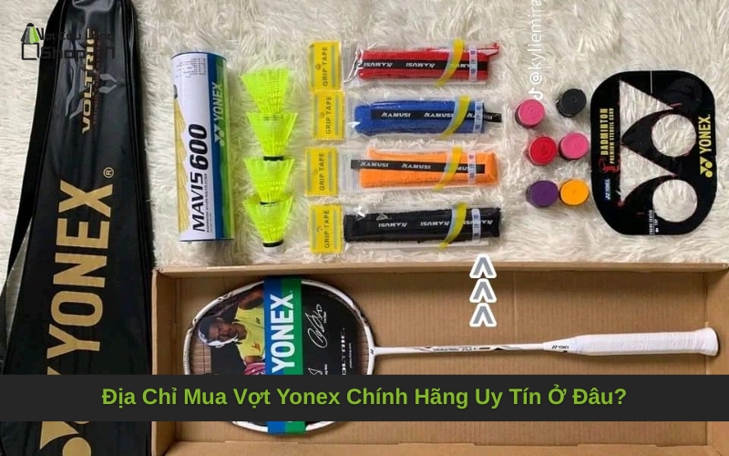 Địa Chỉ Mua Vợt Yonex Chính Hãng Uy Tín Ở Đâu?