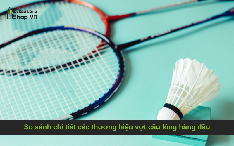 Hướng Dẫn Chọn Vợt Phù Hợp Với Từng Lối Chơi