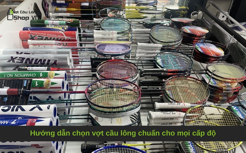 Hướng dẫn chọn vợt cầu lông chuẩn cho mọi cấp độ