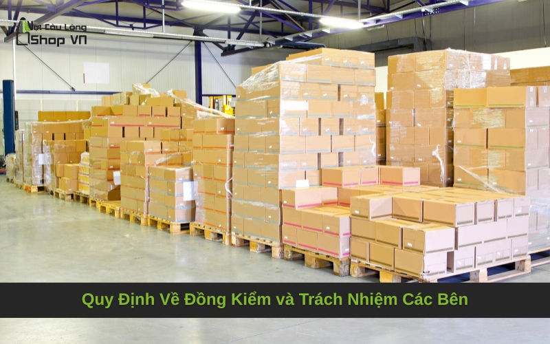 Quy Định Về Đồng Kiểm và Trách Nhiệm Các Bên