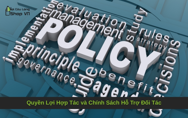 Quyền Lợi Hợp Tác và Chính Sách Hỗ Trợ Đối Tác