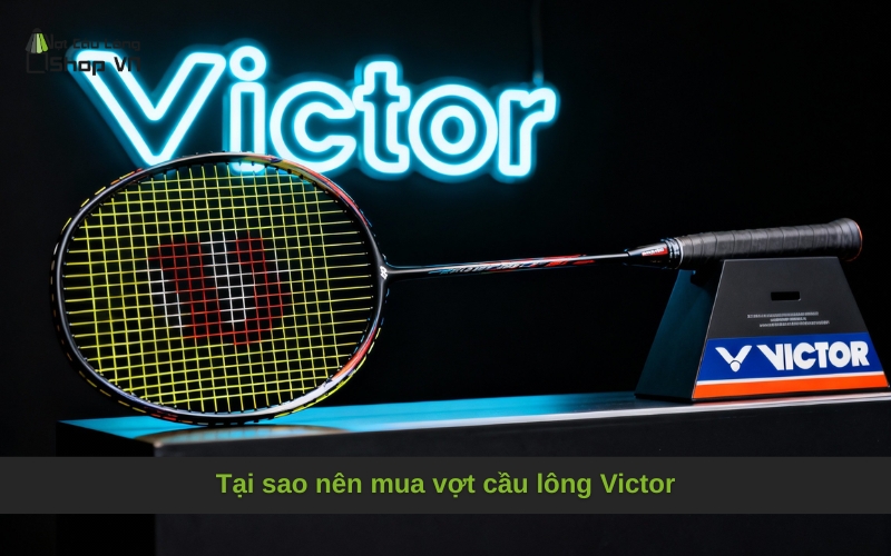 Tại sao nên mua vợt cầu lông Victor