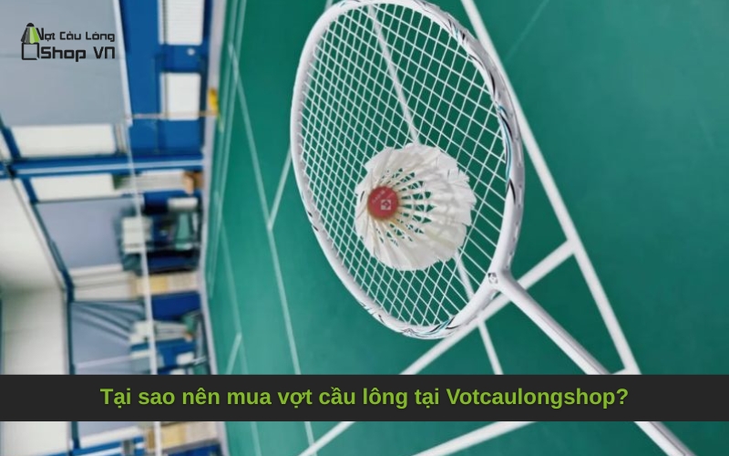 Tại sao nên mua vợt cầu lông tại Votcaulongshop?