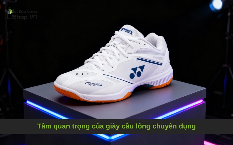 Tầm quan trọng của giày cầu lông chuyên dụng