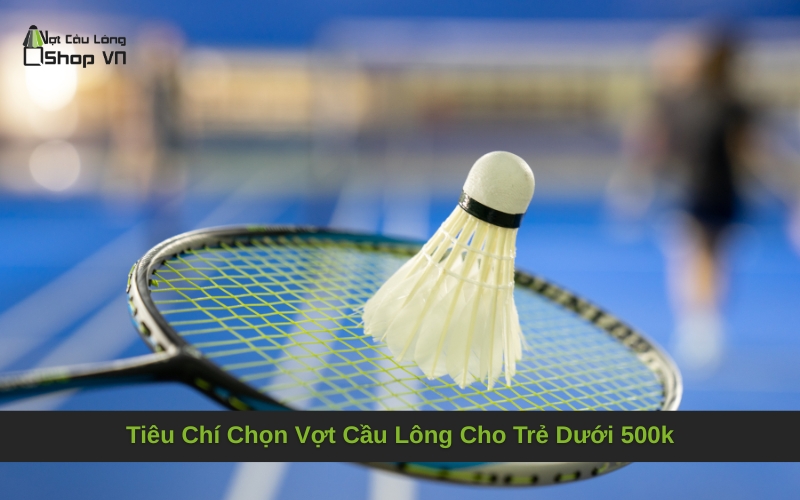 Tiêu Chí Chọn Vợt Cầu Lông Cho Trẻ Dưới 500k
