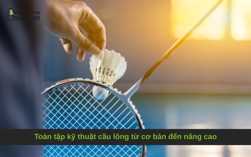Toàn tập kỹ thuật cầu lông từ cơ bản đến nâng cao