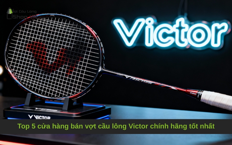 Top 5 cửa hàng bán vợt cầu lông Victor chính hãng tốt nhất