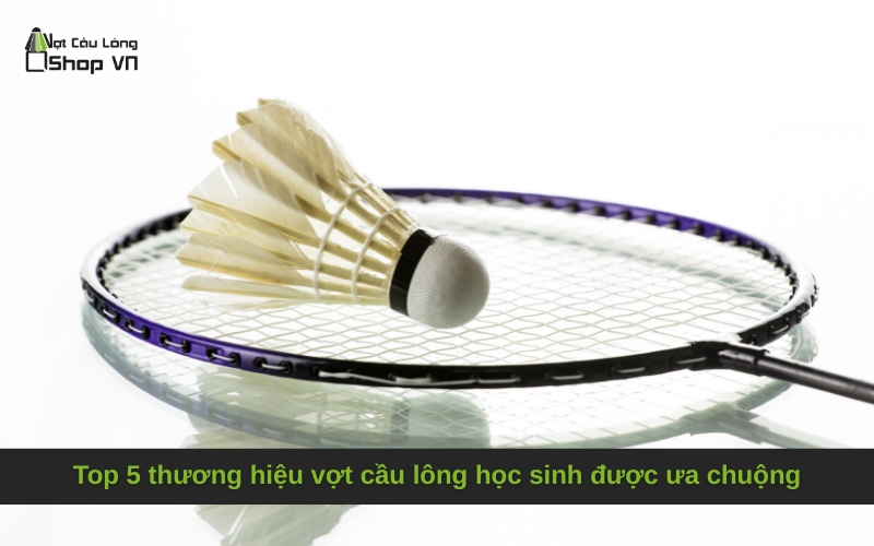 Top 5 thương hiệu vợt cầu lông học sinh được ưa chuộng