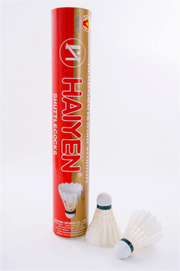 Cầu Hải Yến Đỏ Đồng