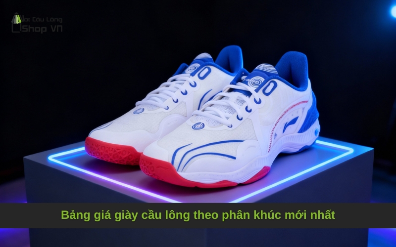 Bảng giá giày cầu lông theo phân khúc mới nhất