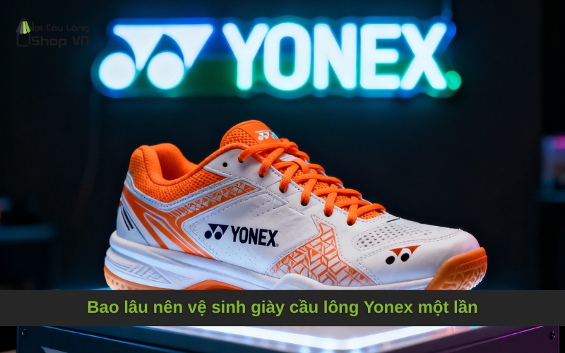 Bao lâu nên vệ sinh giày cầu lông Yonex một lần