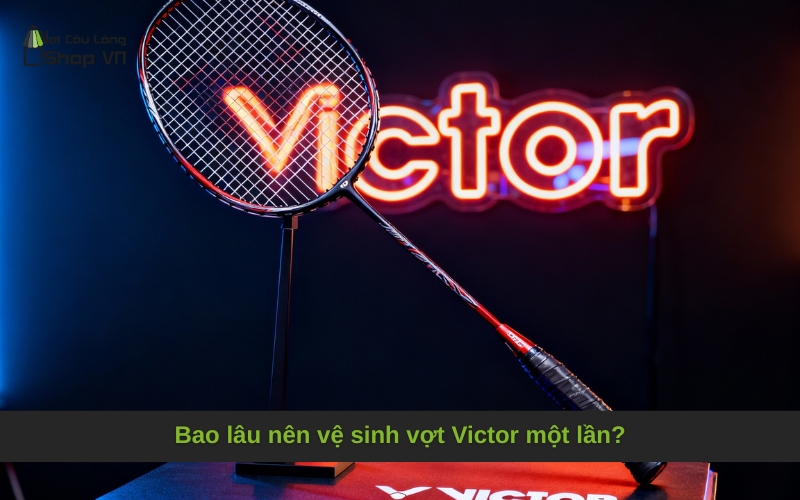 Bao lâu nên vệ sinh vợt Victor một lần?