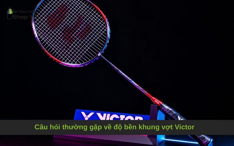 Câu hỏi thường gặp về độ bền khung vợt Victor