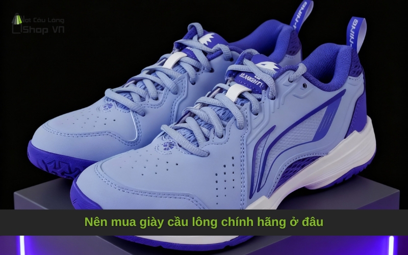 Nên mua giày cầu lông chính hãng ở đâu: Địa chỉ uy tín và Kinh nghiệm giao dịch