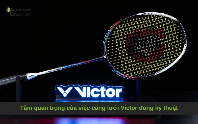 Tầm quan trọng của việc căng lưới Victor đúng kỹ thuật