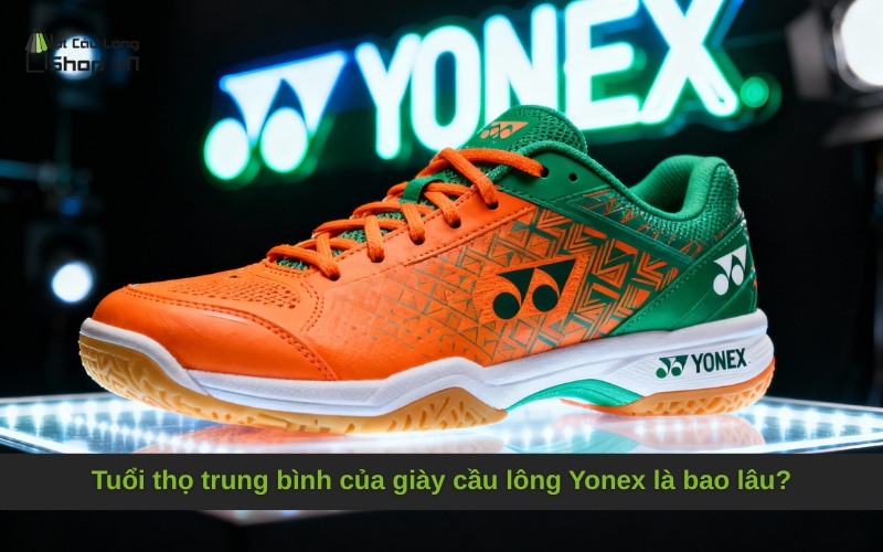Tuổi thọ trung bình của giày cầu lông Yonex là bao lâu?