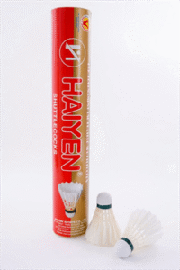 Cầu Hải Yến Đỏ Đồng